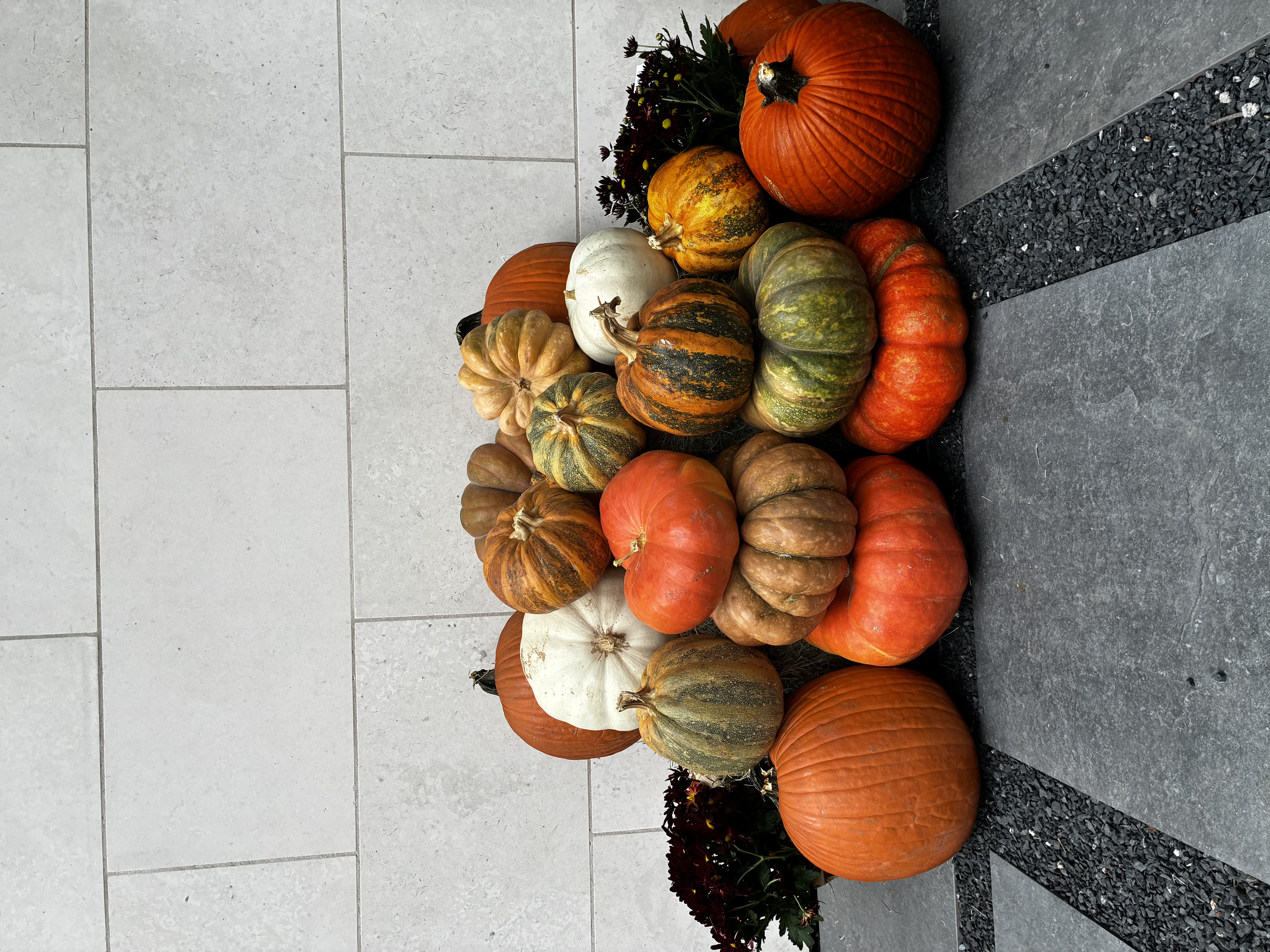 Dense Luxury pumpkin cluster with mums on pavers — real installation