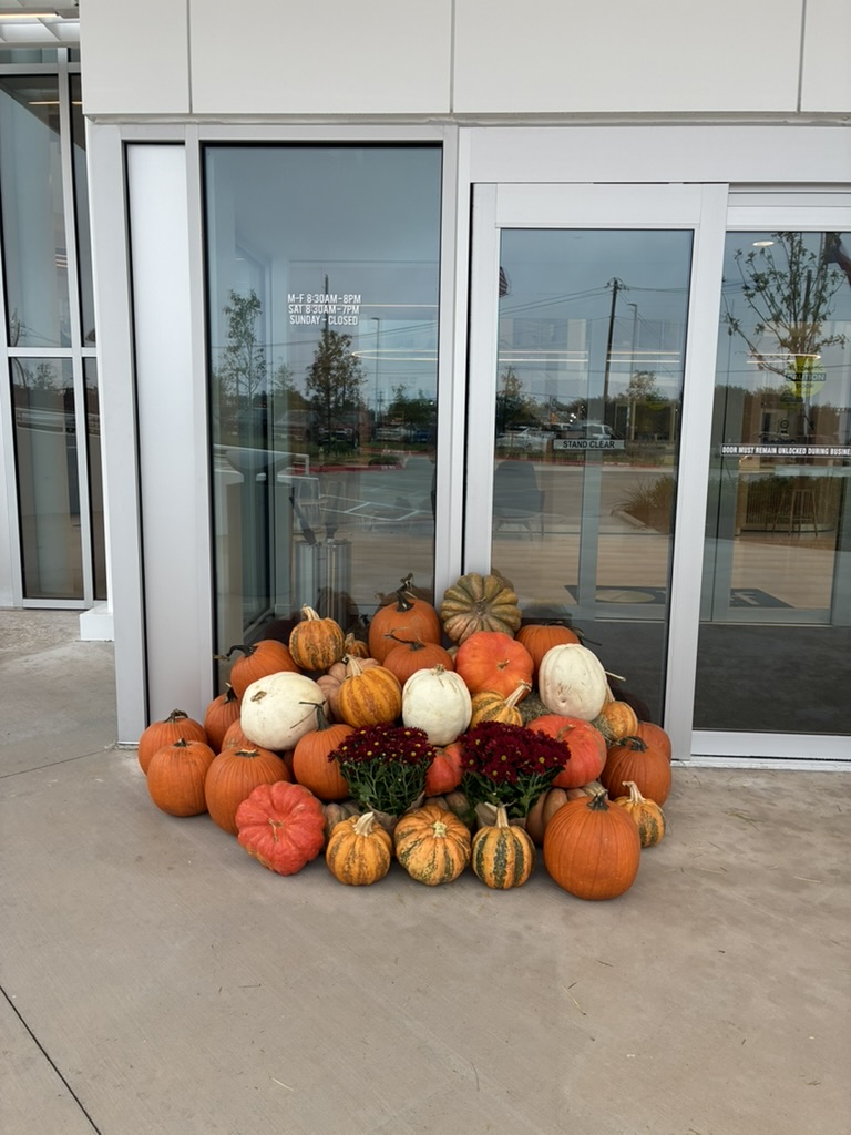 Large pumpkin display with gourds and mums at entrance — real installation