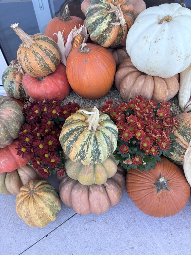 Dense pumpkin and gourd cluster with deep-red chrysanthemums on grey concrete — real installation