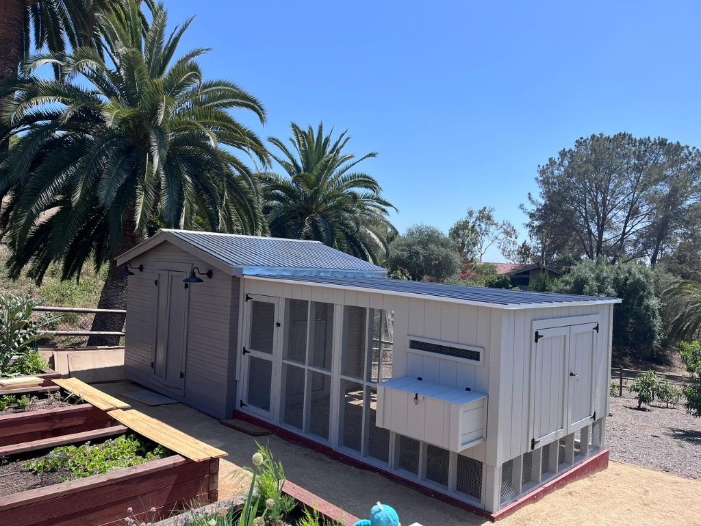 Gray Coop with Metal Roof | Chicken Coop in San Diego County