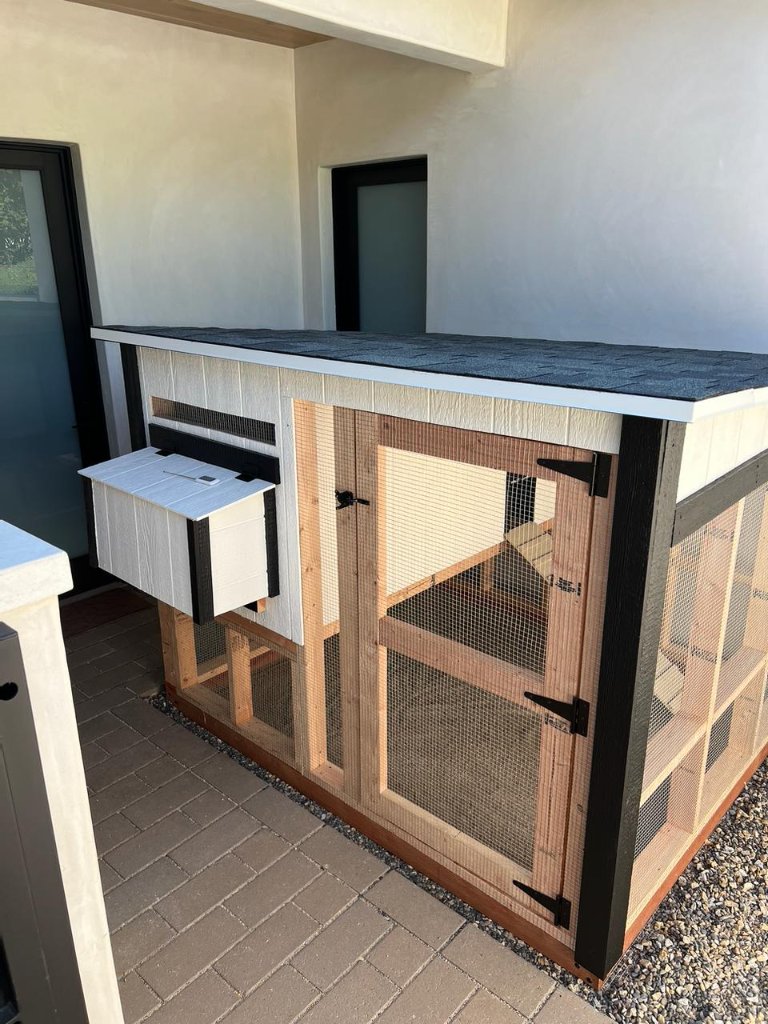 Coop with Run — Rear View | Chicken Coop in San Diego County