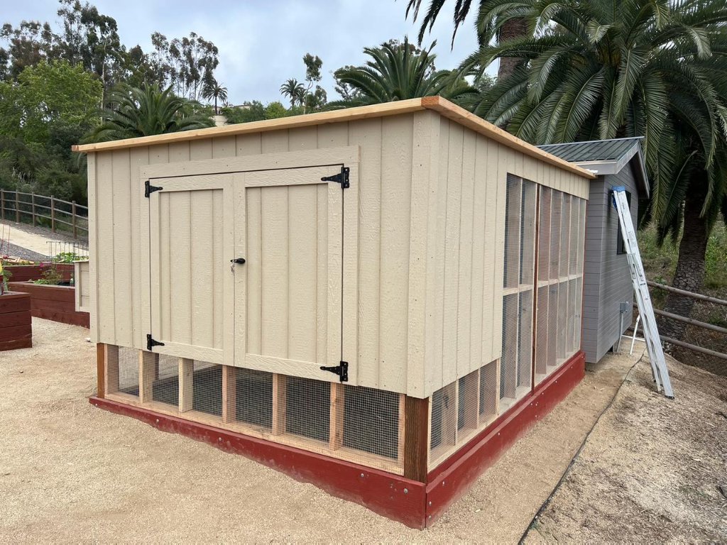 Large Coop — Front Doors | Chicken Coop in San Diego County
