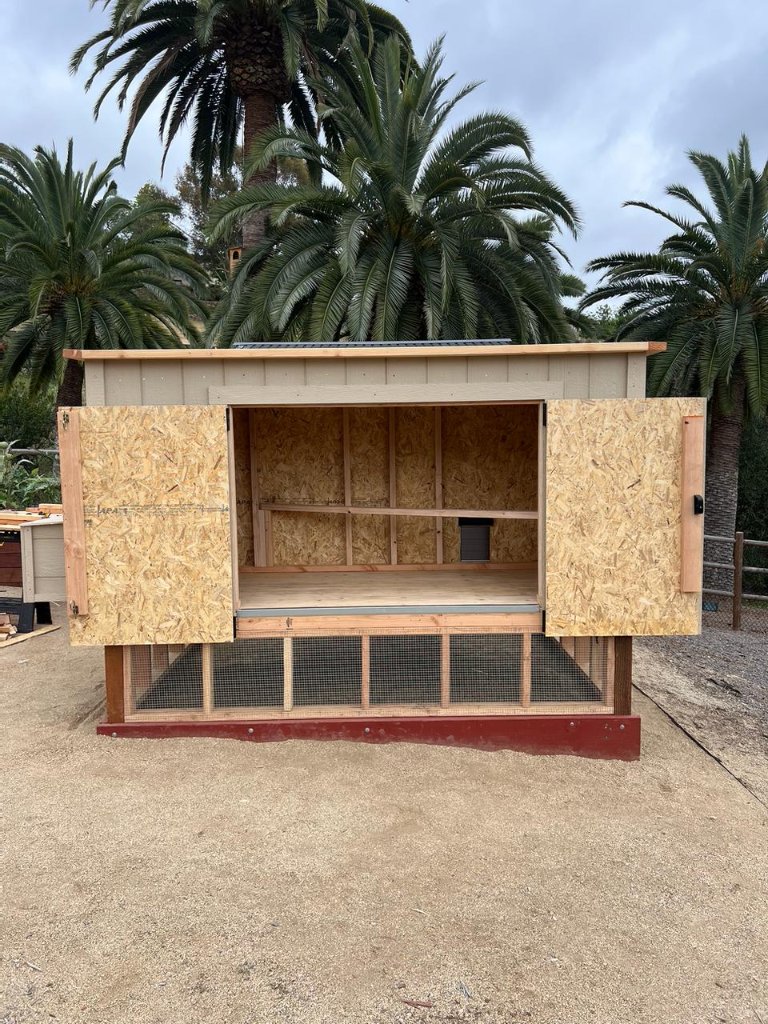 Coop Interior — Doors Open | Chicken Coop in San Diego County