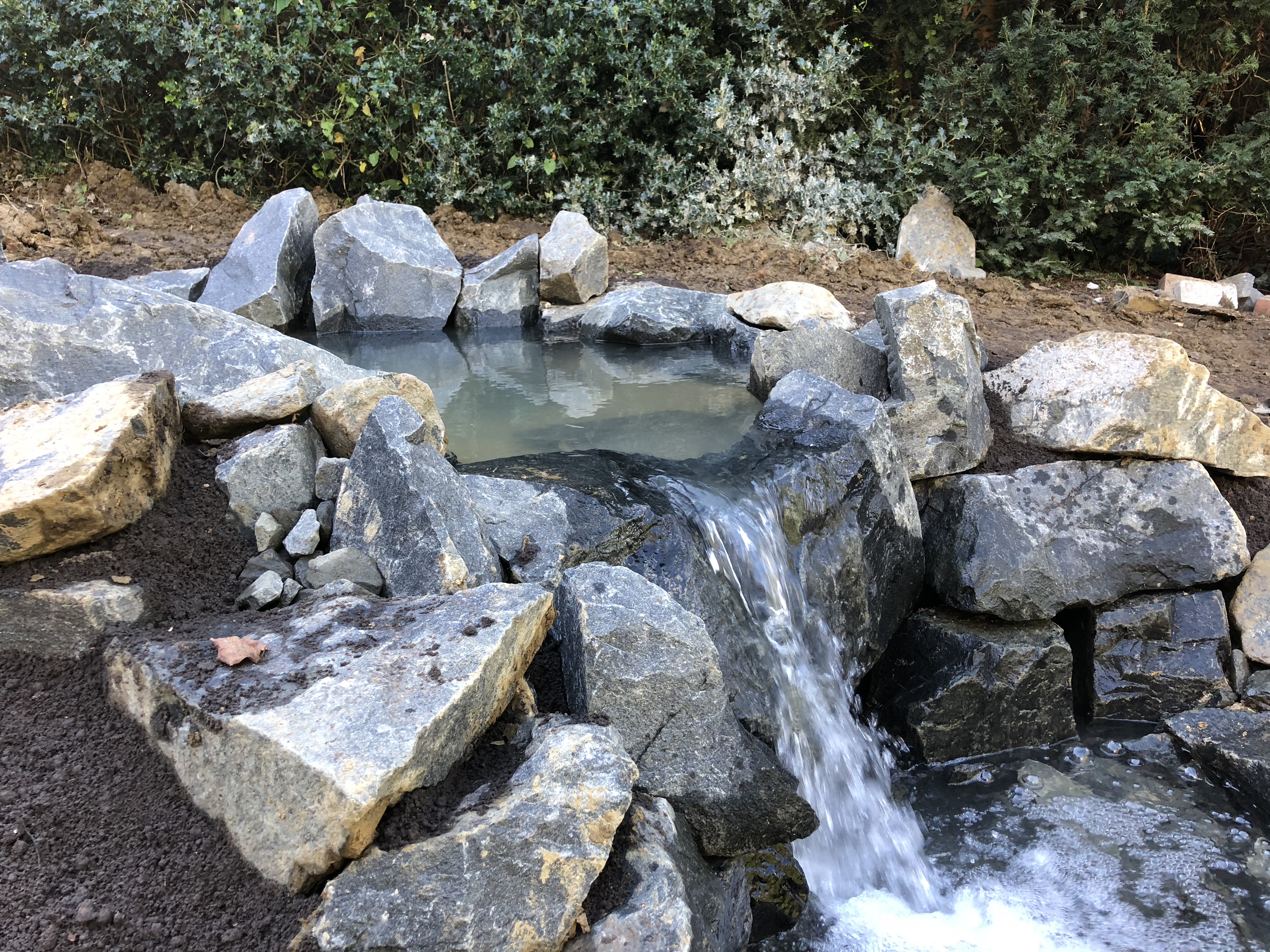 Landscaping and garden transformation 8