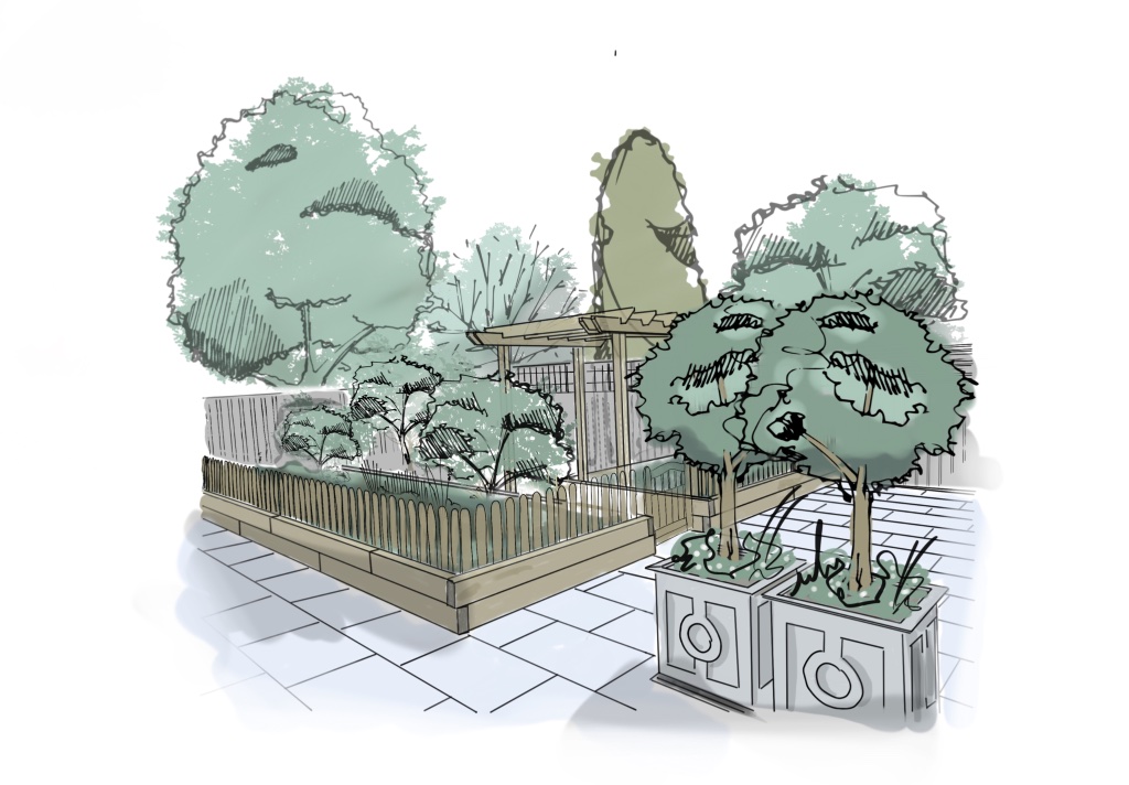Garden design sketch illustration