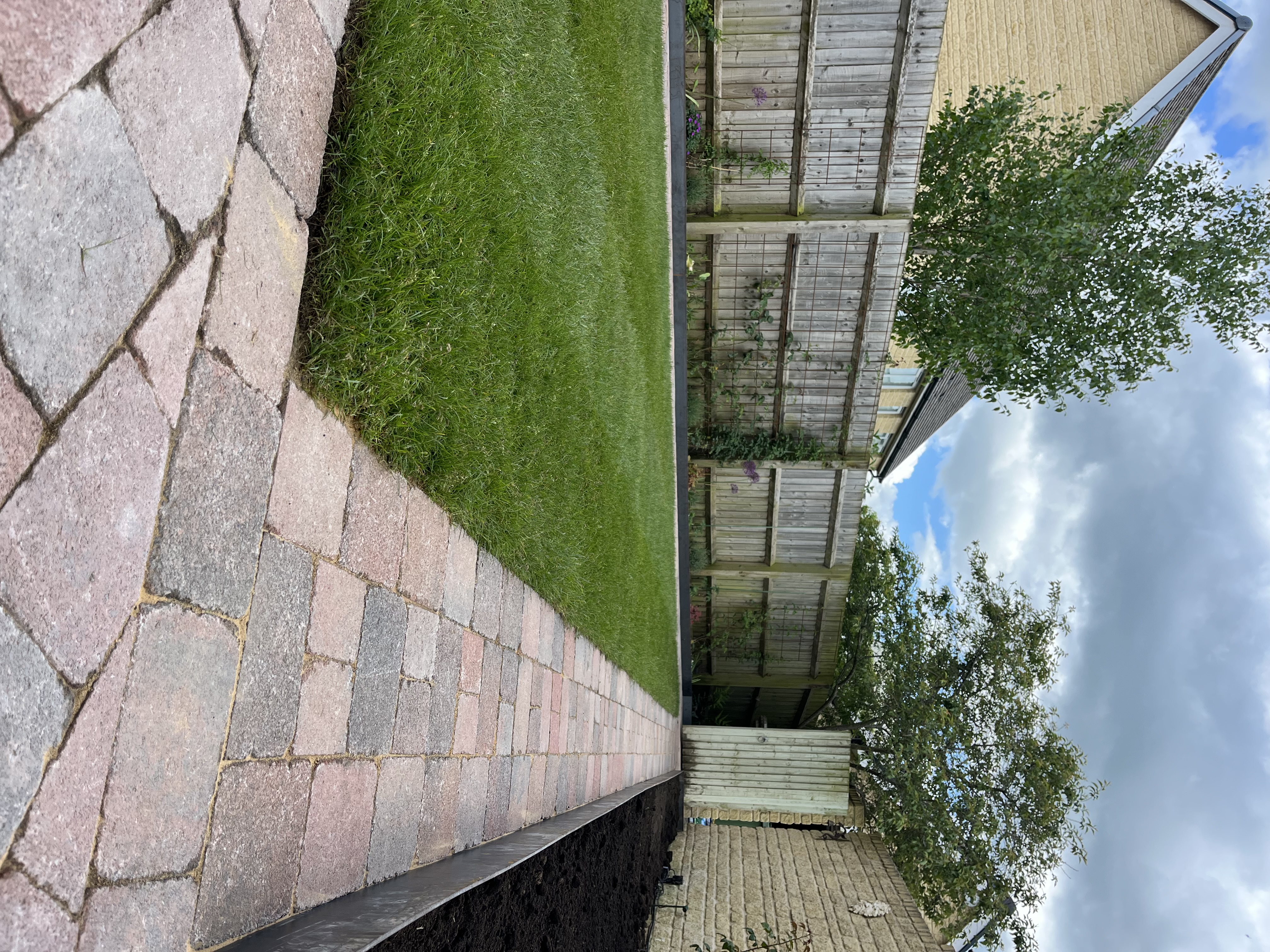 Landscaped garden with paving path and lawn
