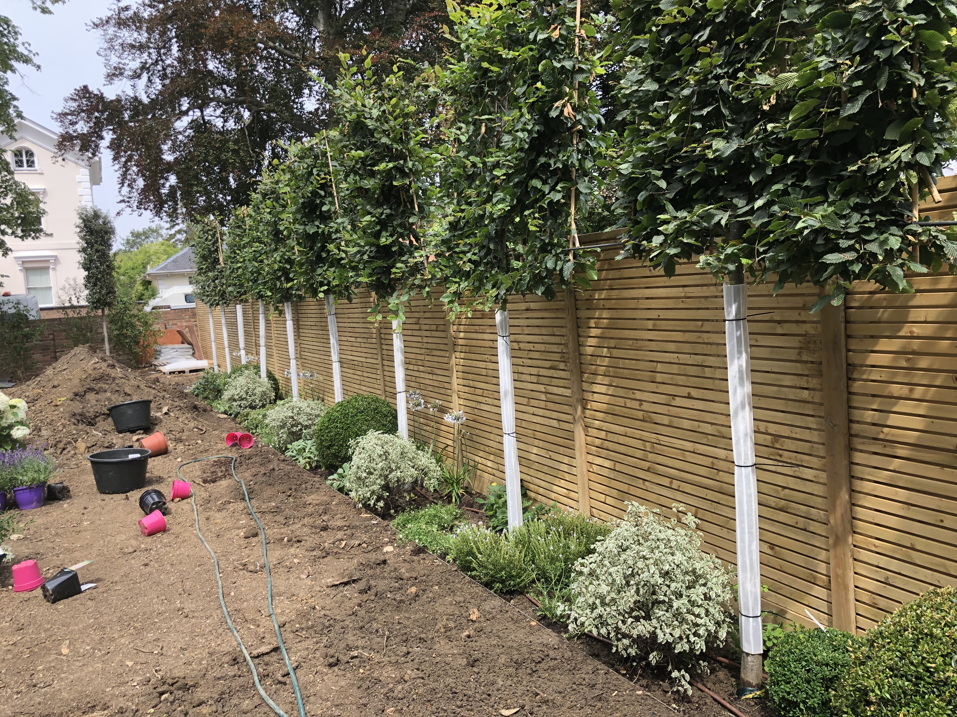 Landscaping and garden transformation 12