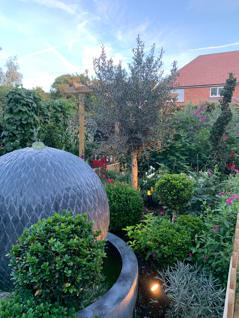 Landscaping and garden transformation 6