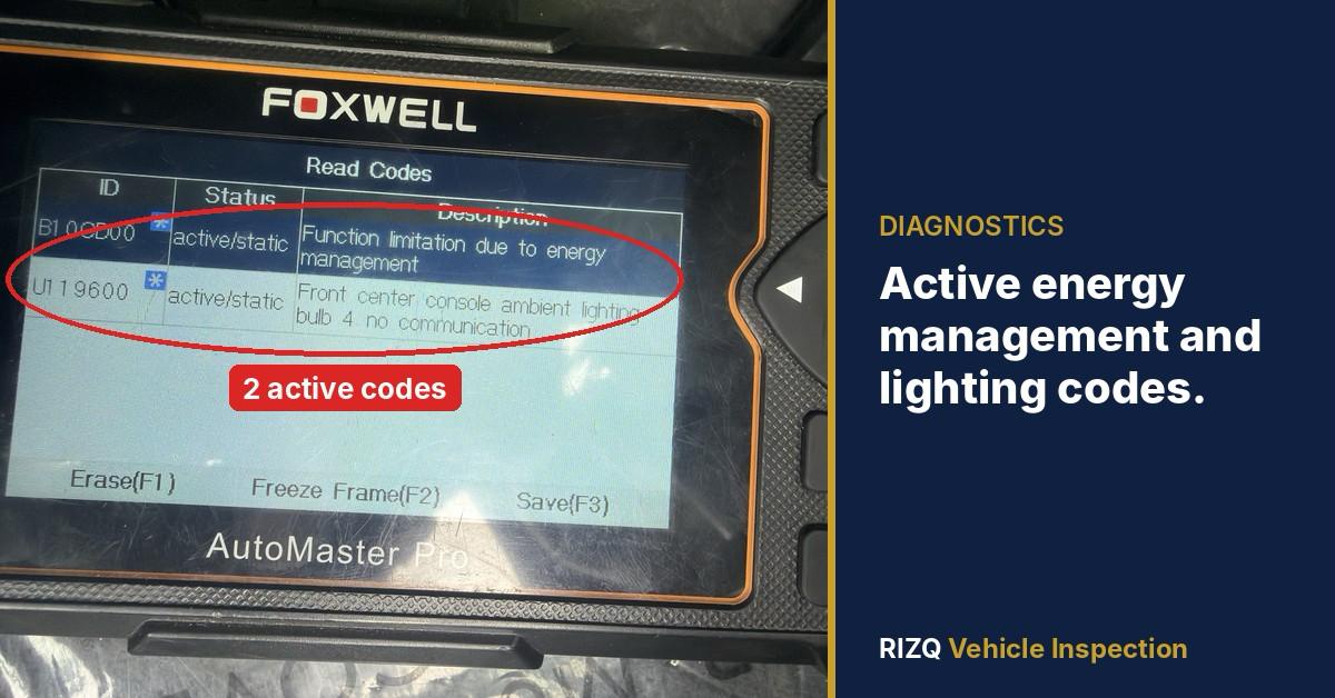 Active energy management and lighting codes found by a RIZQ inspector on a used electric vehicle