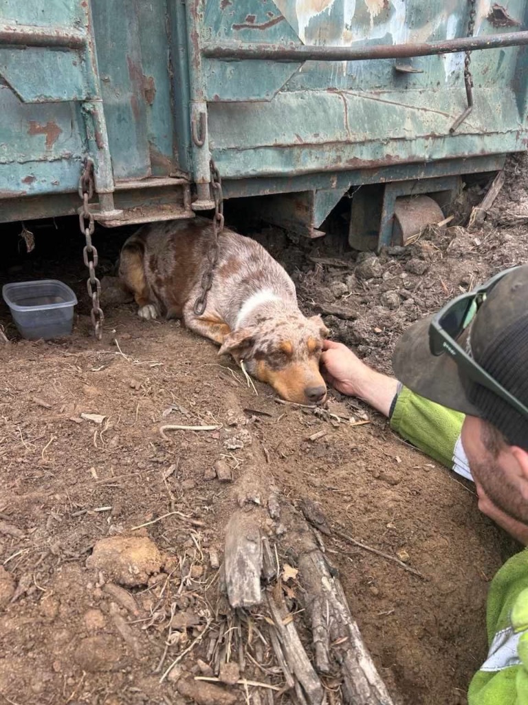 Ava the day she was found