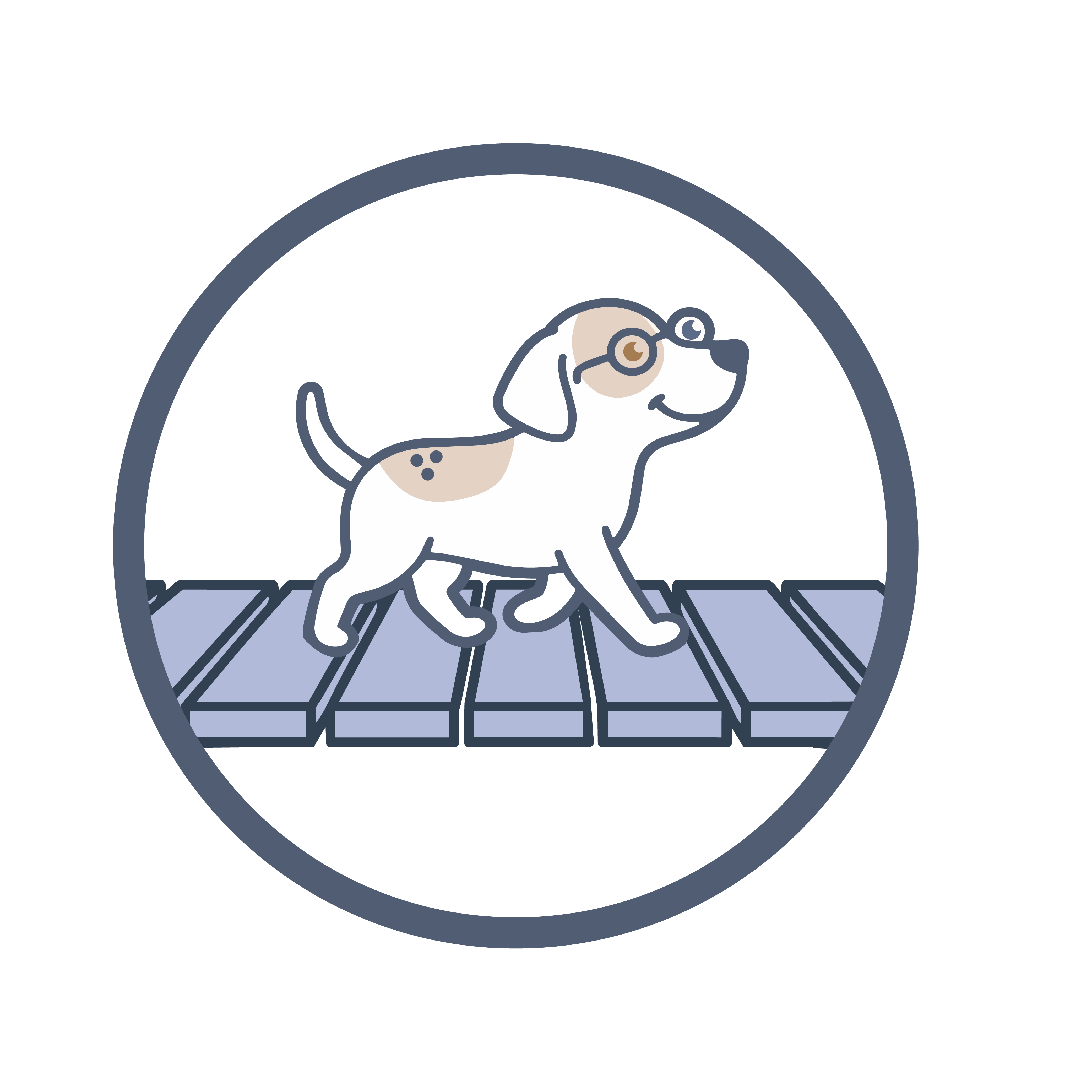 A puppy walking across a completed bridge — Bridge to Belonging™