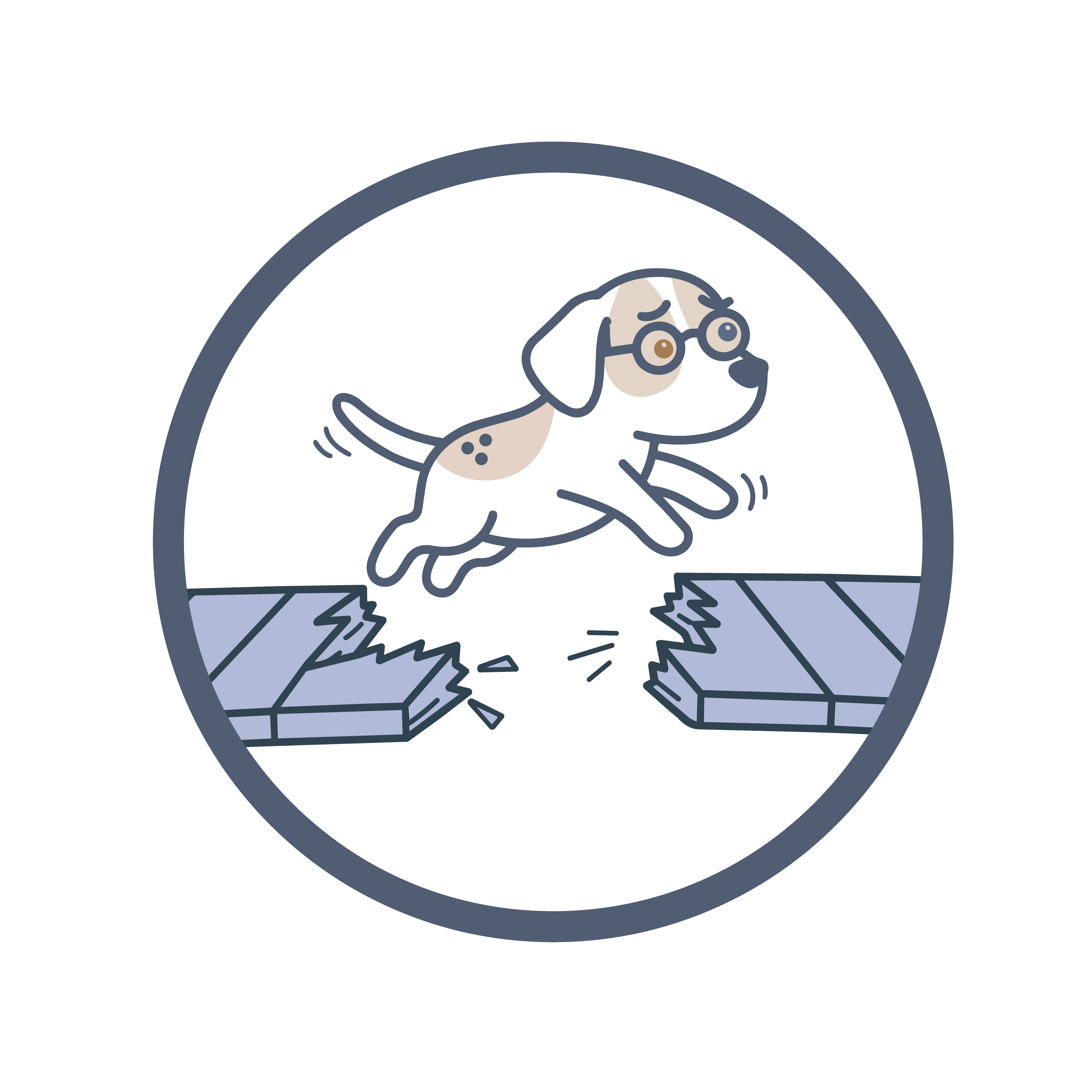 A puppy attempting to cross a broken bridge — The Missing Middle™
