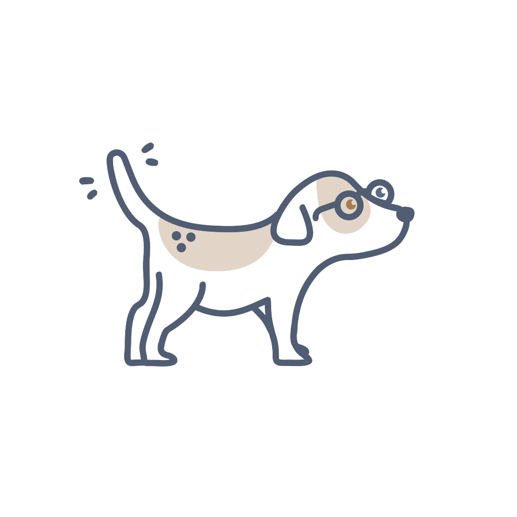 Certified Foster Network