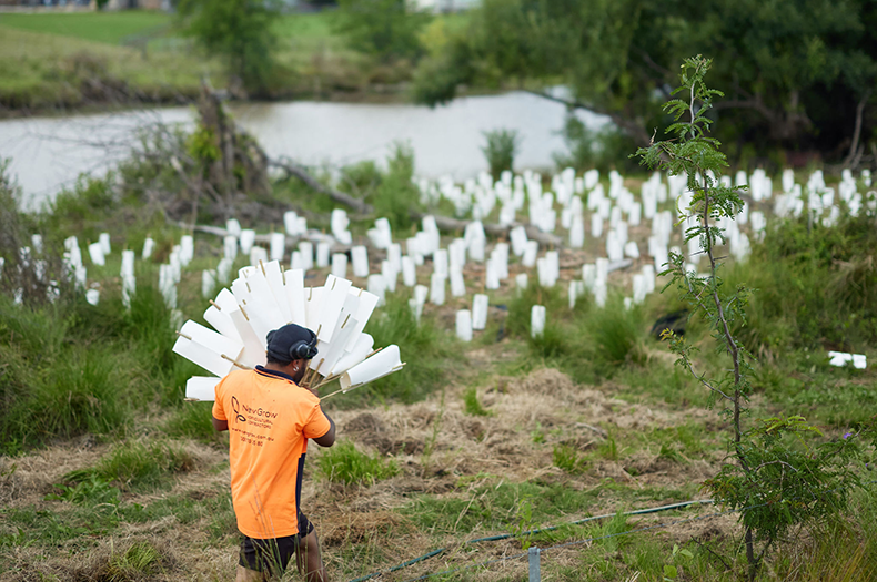 Environmental philanthropy — tree planting initiative