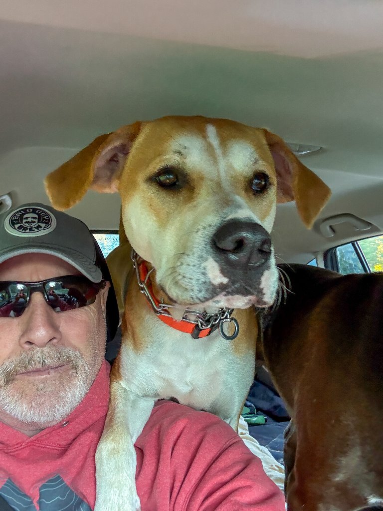 Jameson the dog