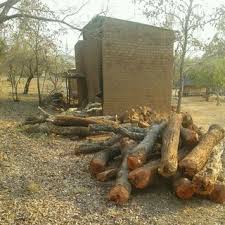 Tobacco curing barns and timber they consume — Zimbabwe