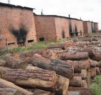 Curing barns with firewood