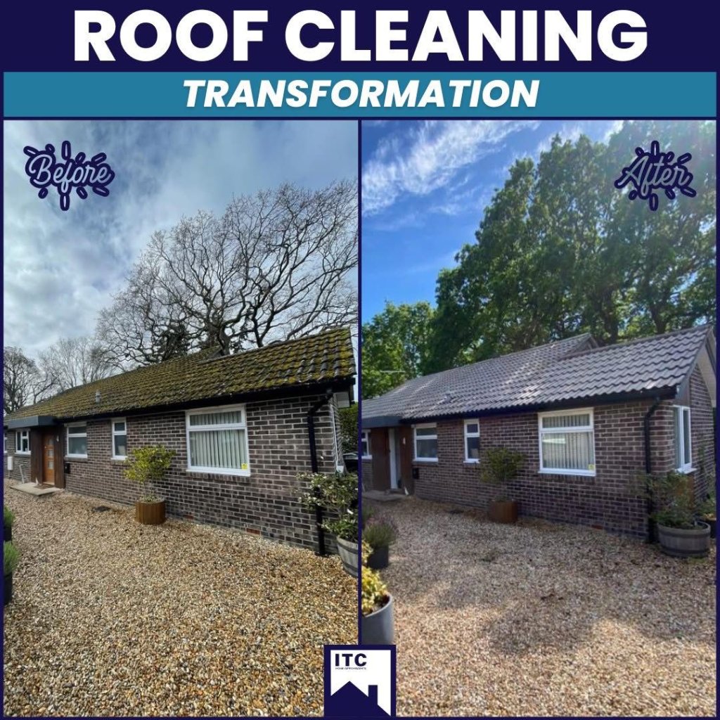 Roof Cleaning & Coating