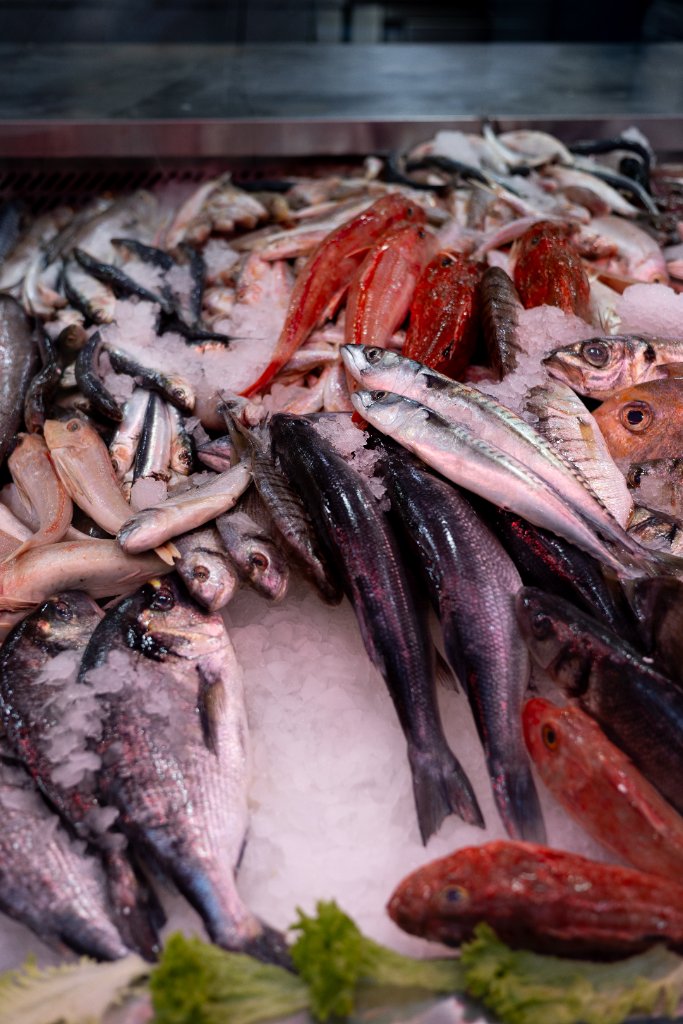 Poissons du jour