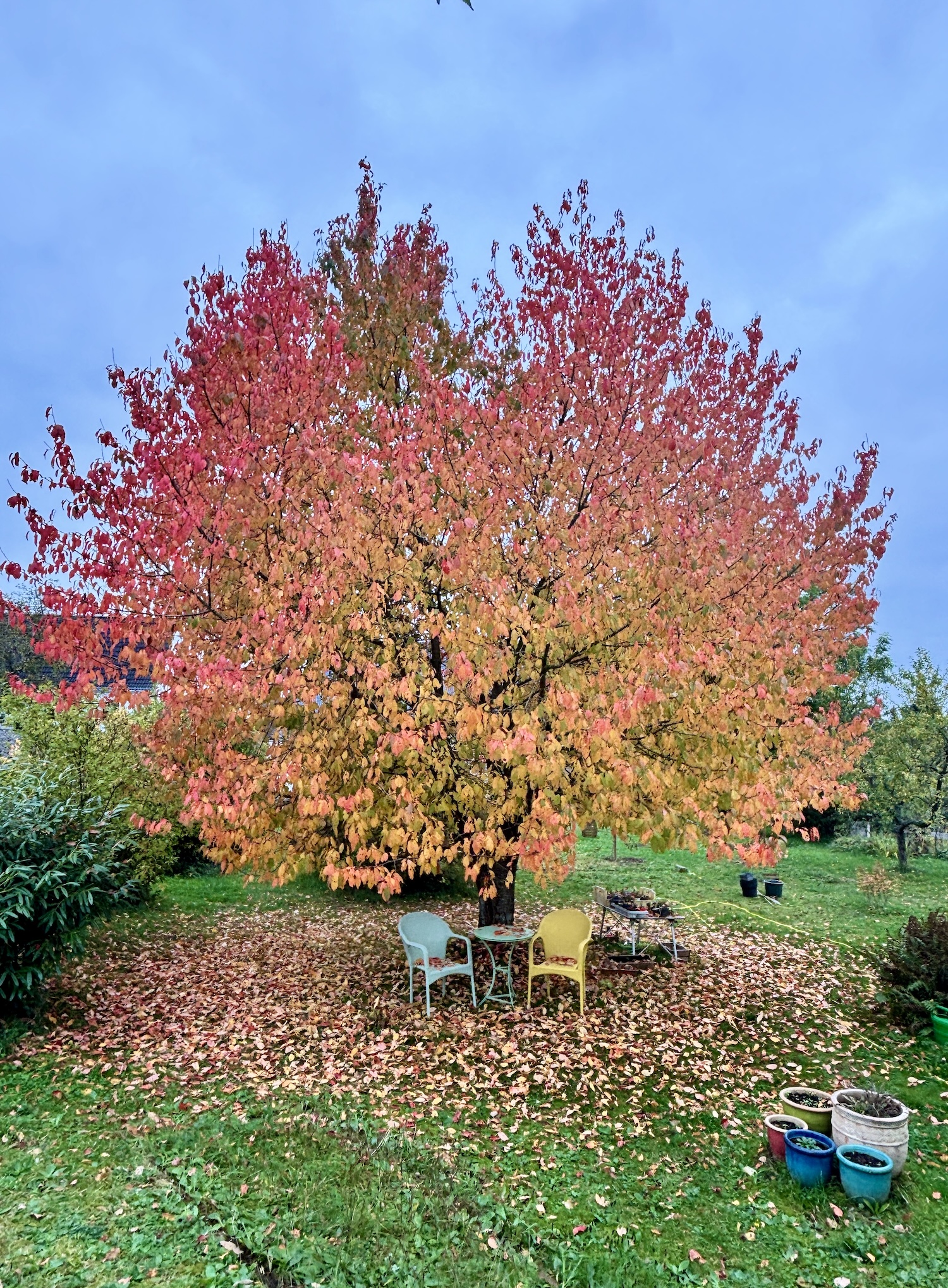 Herbstlicher Garten am Stabenhof