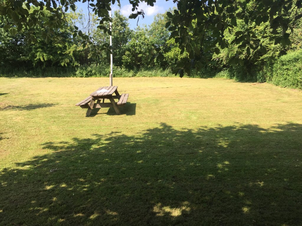 Haveanlæg og græsplæne