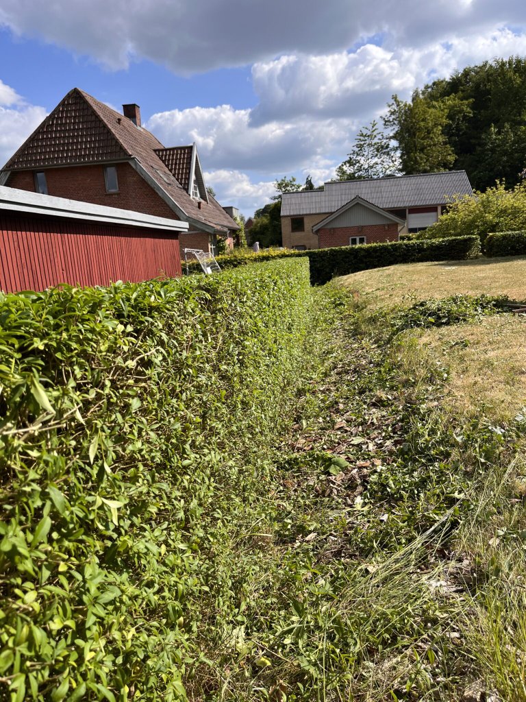 Hækklipning