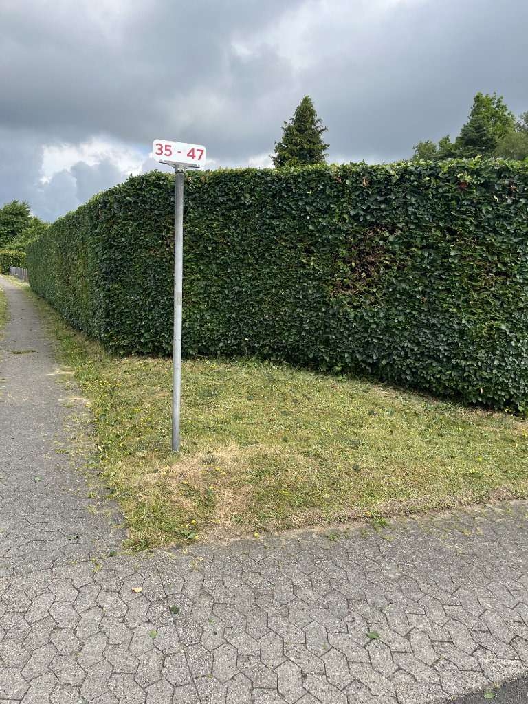 Hækklipning – hæk langs vej