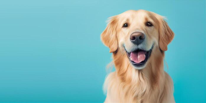 Happy golden retriever smiling