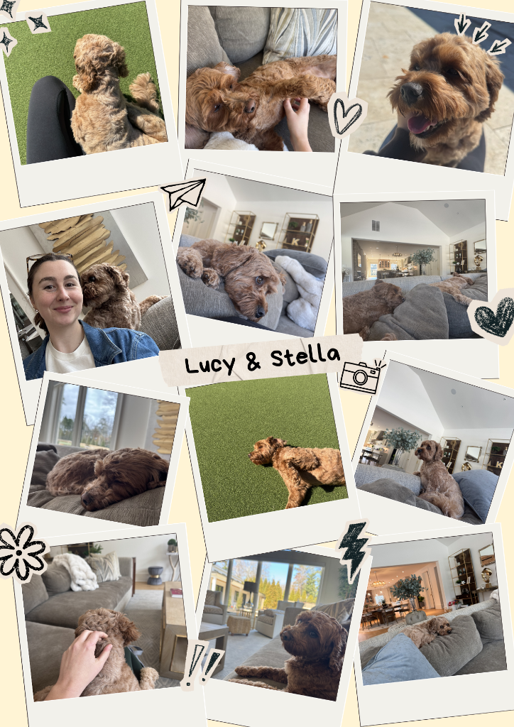 Lucy & Stella
