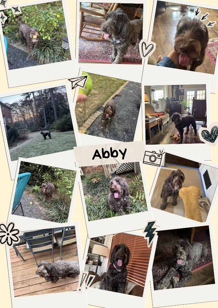 Abby