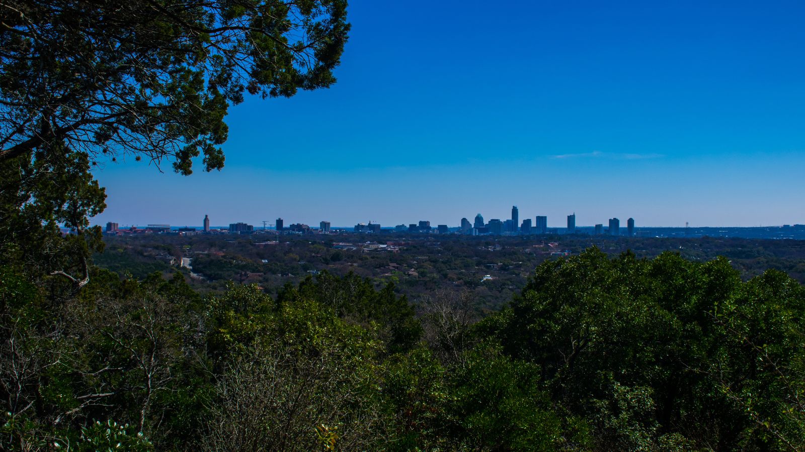Austin Rare Mount Bonnell Angle. Real photograph by RoschetzkyIstockPhoto / Getty Images, sourced through Canva.
