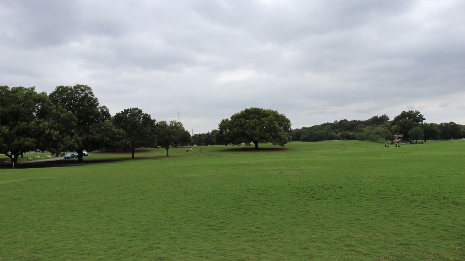 Open green lawn and trees at Zilker Park in Austin. Photograph by kaansb / Getty Images, sourced through Canva.