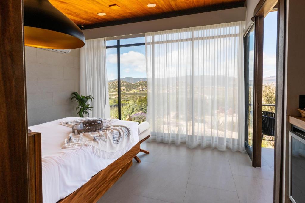 Boutique Hotels – Valle de Guadalupe - photo 1