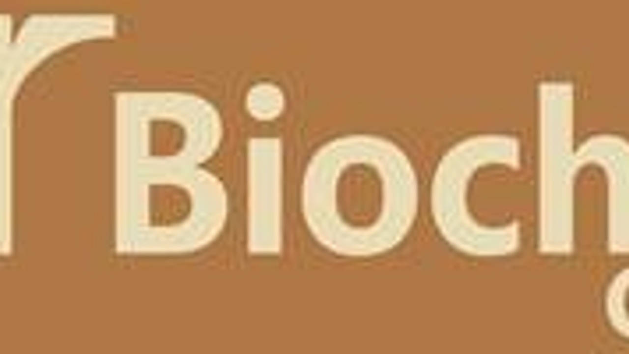 ARBIO template preview