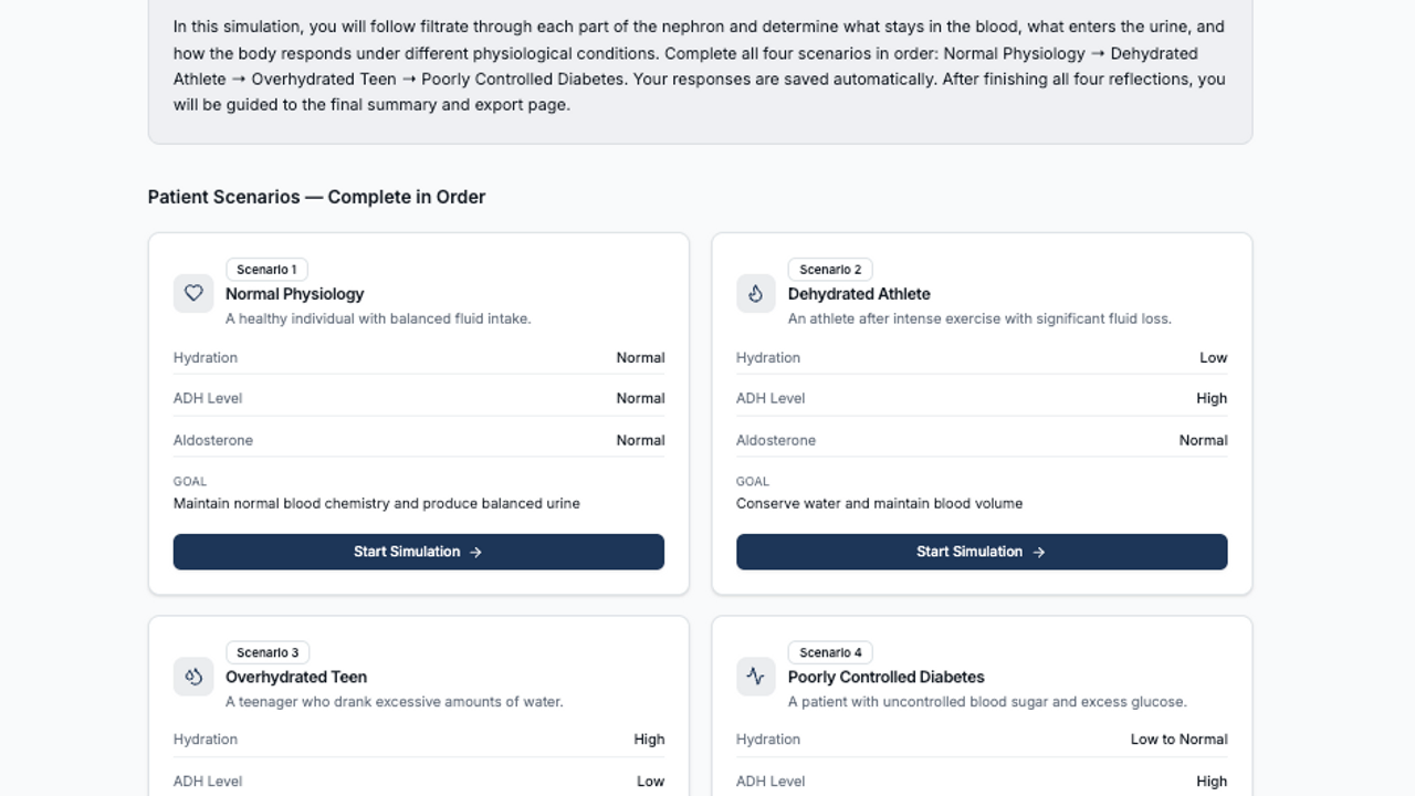 Nephron Flow template preview