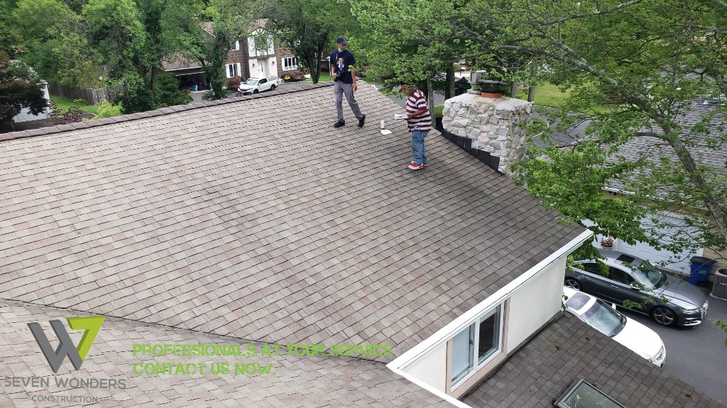 Storm — Shingle Damage View
