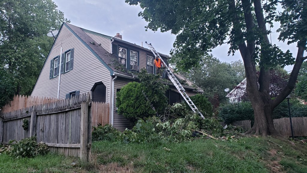 Nail Gun — HDZ Shingle Install