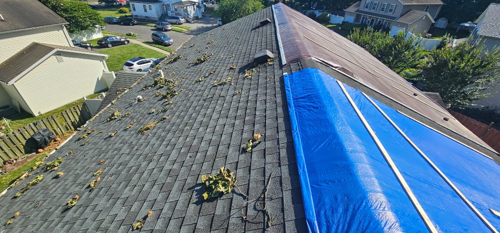 Storm Tarp 2025 — Aerial
