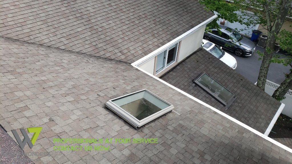 Ice Melt Shingle Damage