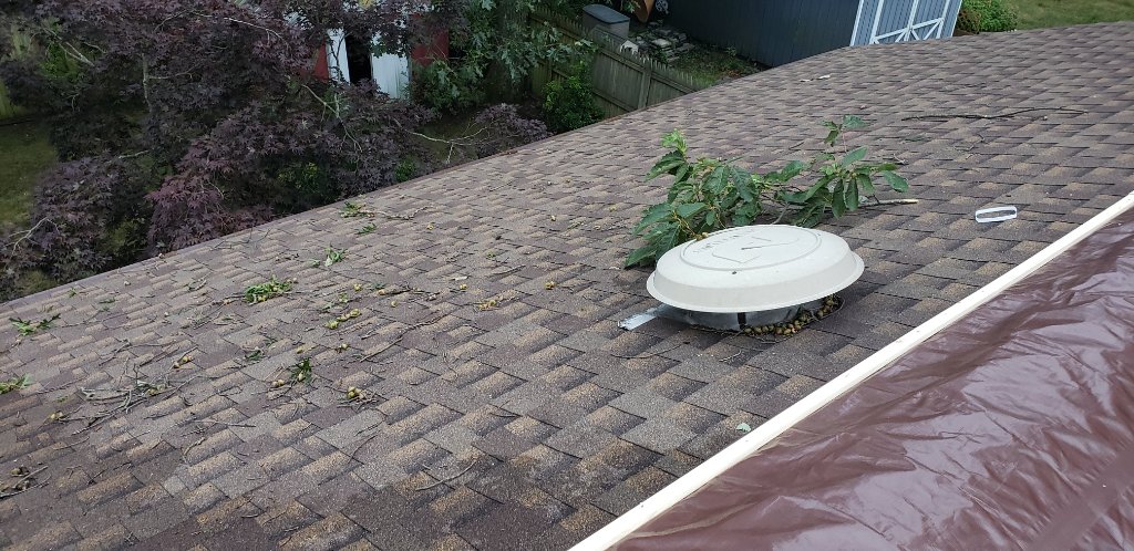 Storm Debris on Roof