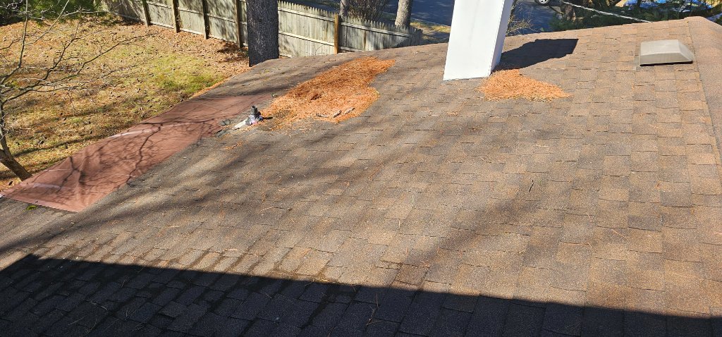 Large Roof Tear-Off 2024 B