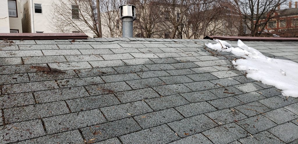 Snow & Shingle Damage