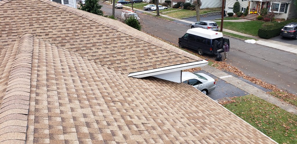 Professional Shingle Nailing