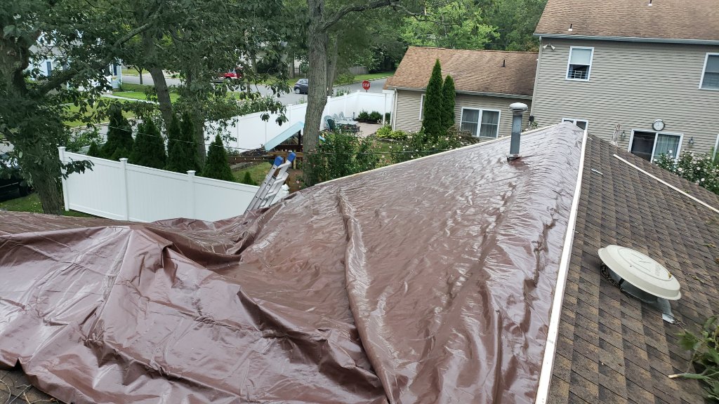 Backyard Roof View