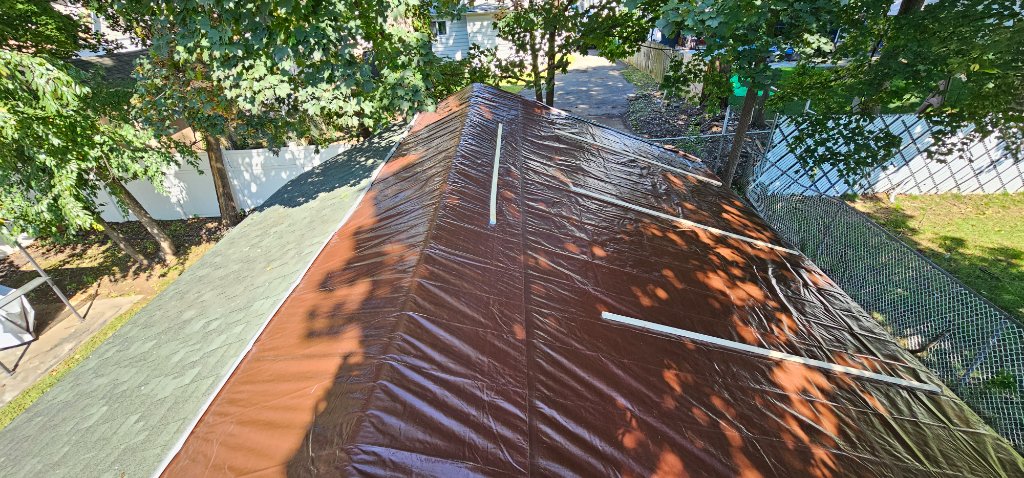Shingle Damage — Inspection
