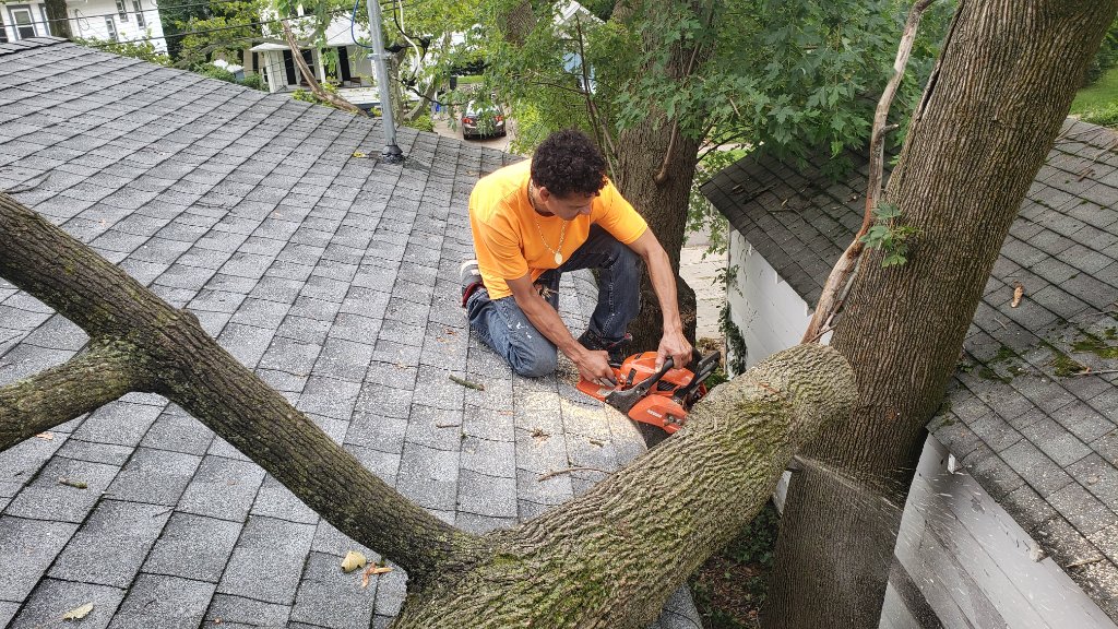 Fallen Trees Cleared NJ