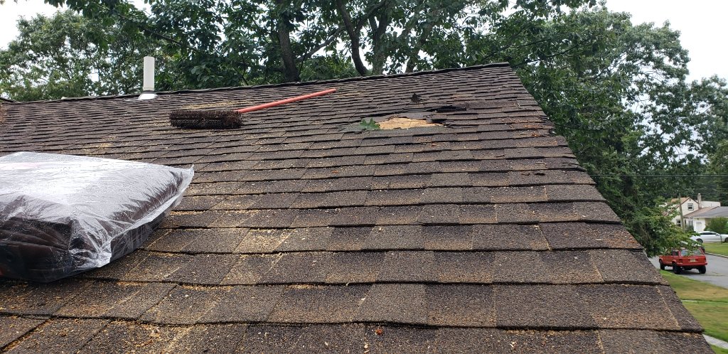 Brown Tarp With Ladder