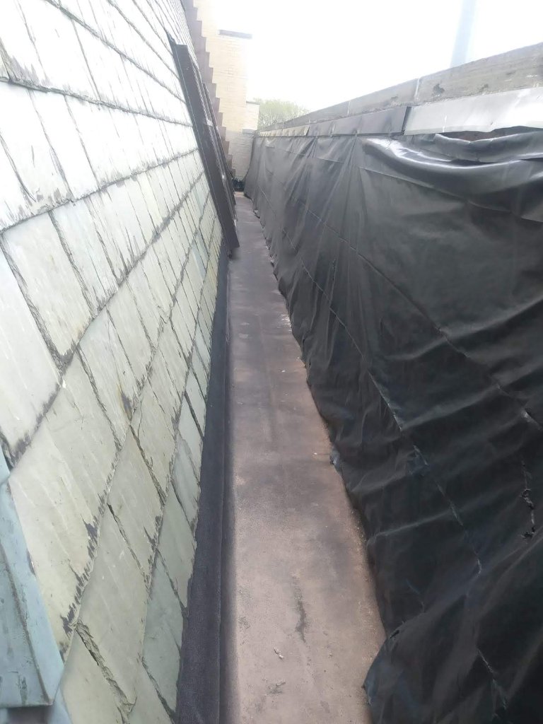 Tarp Installation WA 2019 A
