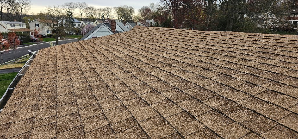 Tree Chainsaw Metal Roof B