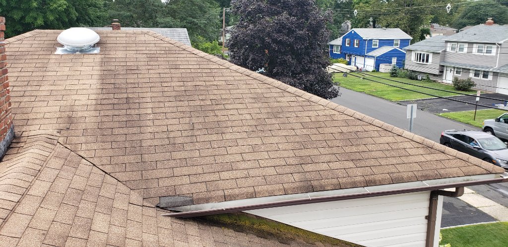 Shingle Damage Assessment